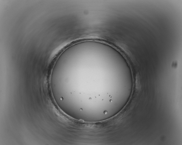 X0000112401452200908281738