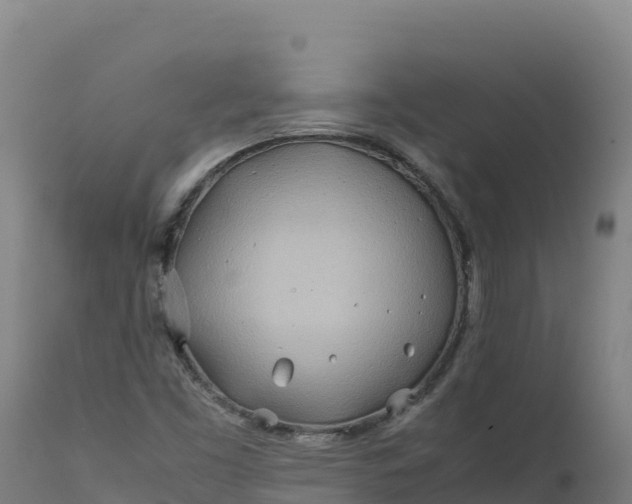 X0000112401453200908281738