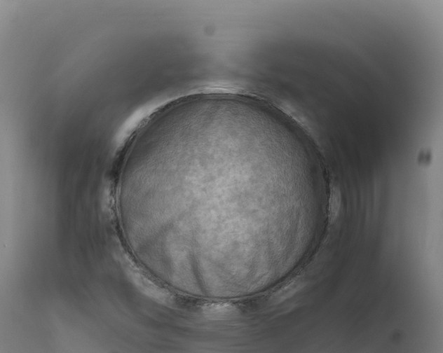X0000112401454200908281738