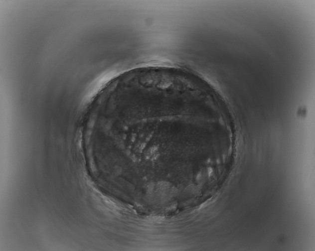 X0000112401455200908281738