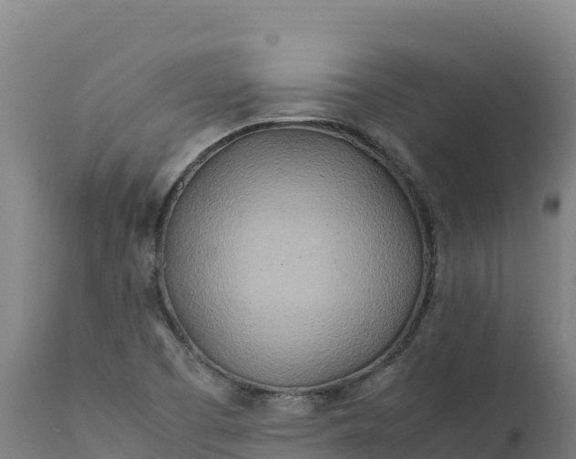 X0000112401457200908281738