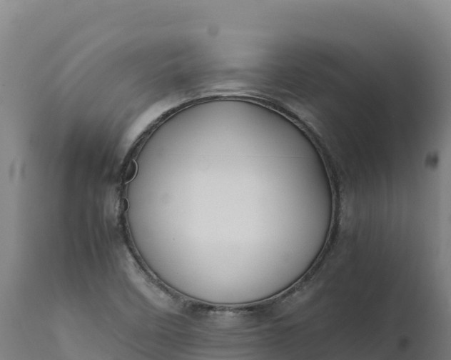 X0000112401458200908281738
