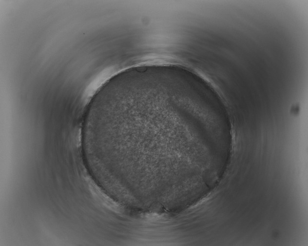 X0000112401459200908281738