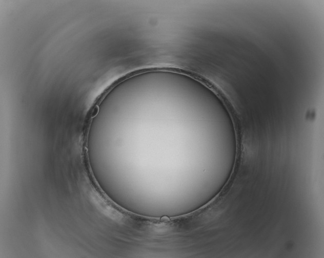 X0000112401460200908281738