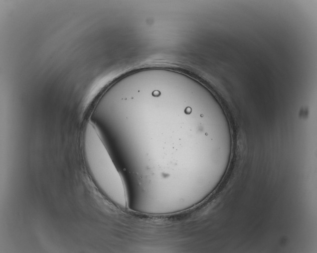 X0000112401461200908281738
