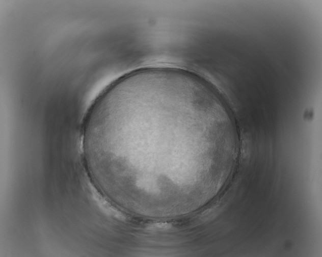 X0000112401462200908281738