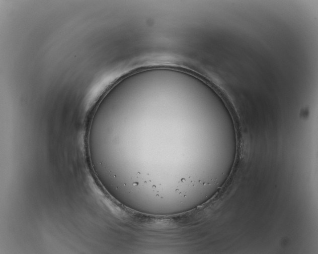 X0000112401464200908281738