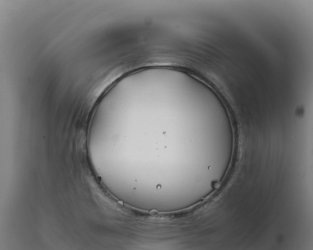X0000112401465200908281738