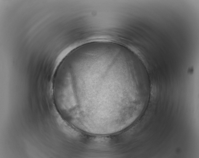 X0000112401466200908281738