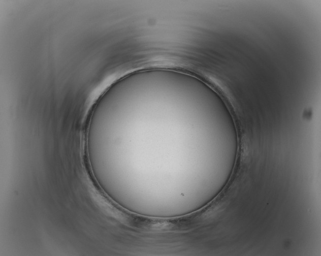 X0000112401467200908281738