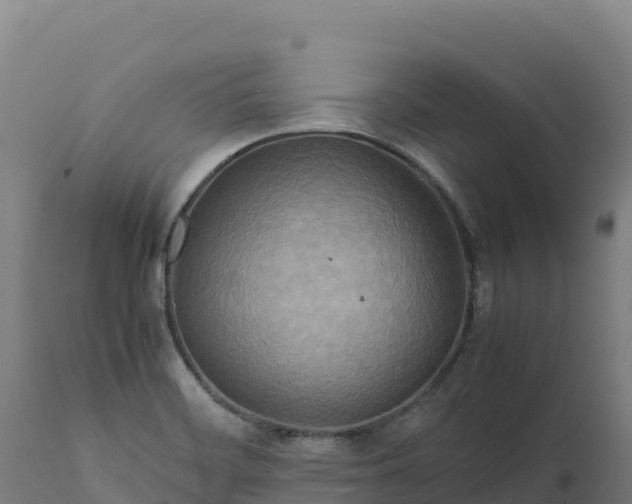 X0000112401468200908281738