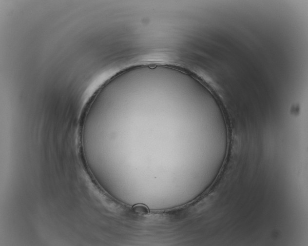 X0000112401469200908281738