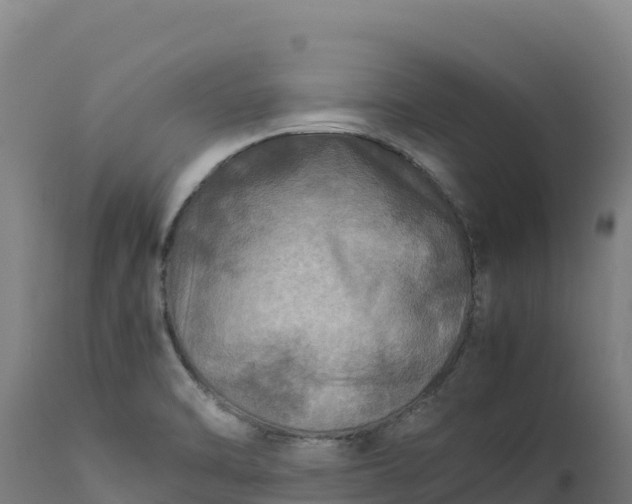 X0000112401470200908281738