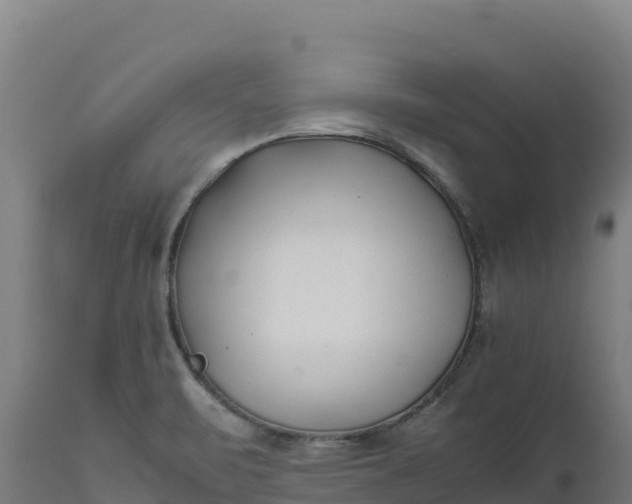 X0000112401471200908281738