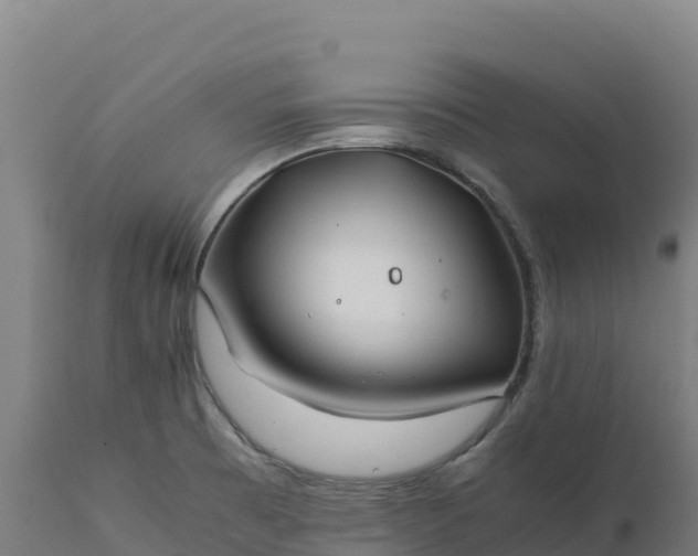 X0000112401473200908281738