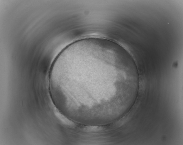X0000112401474200908281738