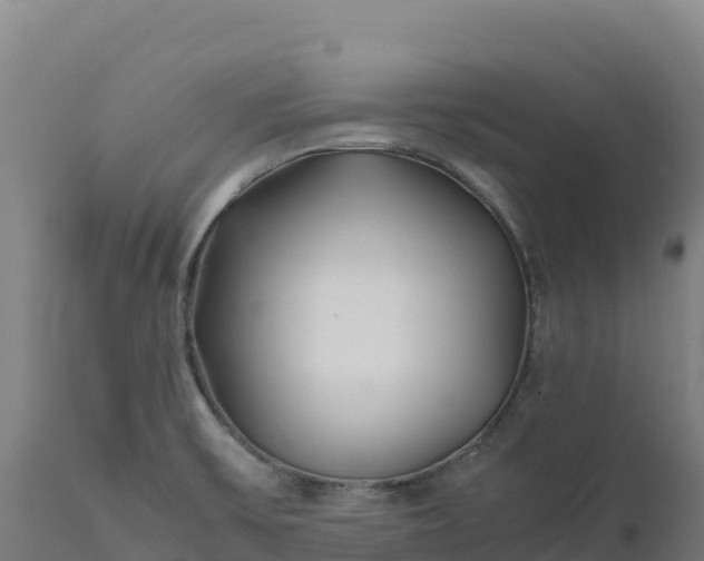 X0000112401475200908281738