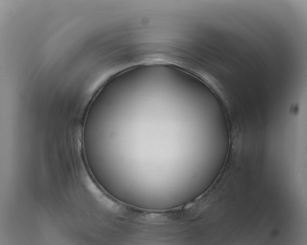 X0000112401476200908281738