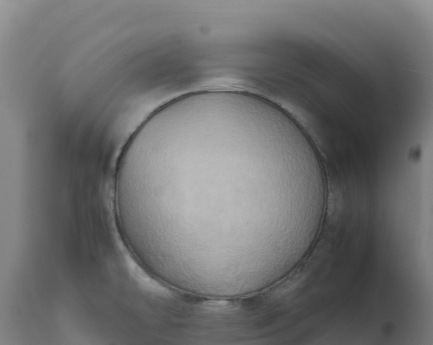 X0000112401478200908281738