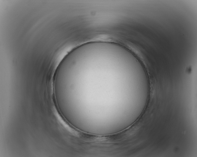X0000112401479200908281738