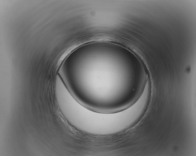 X0000112401481200908281738