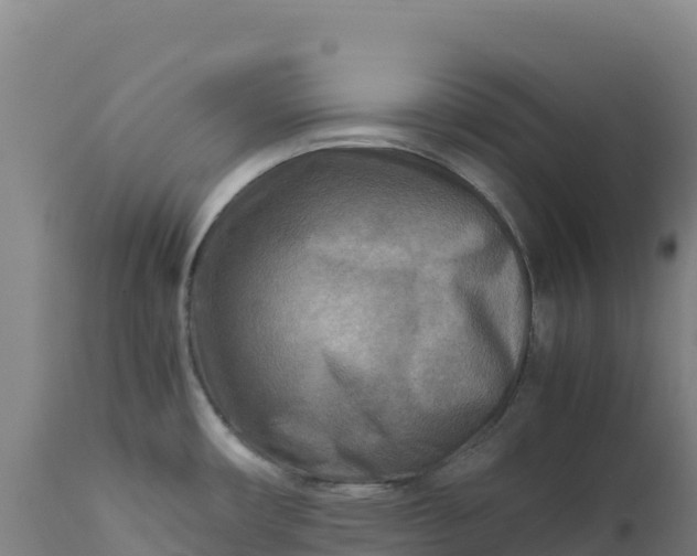 X0000112401482200908281738
