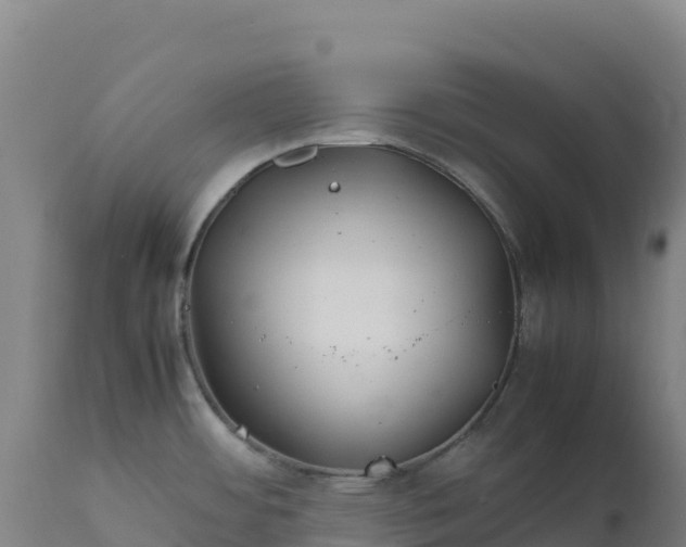 X0000112401484200908281738