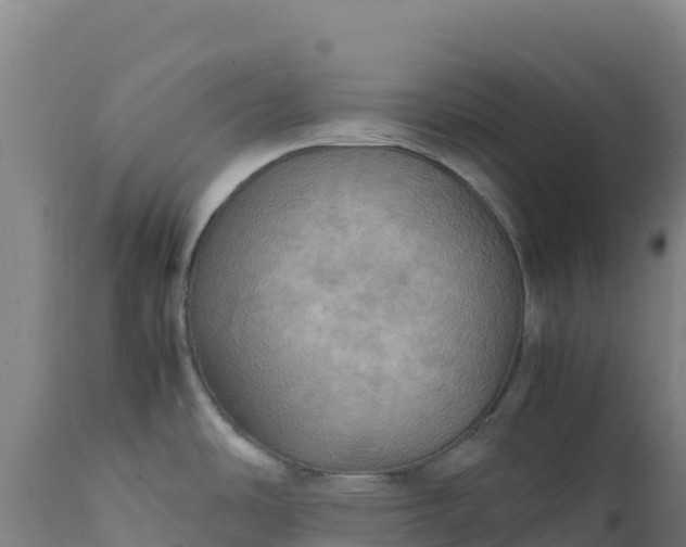 X0000112401486200908281738
