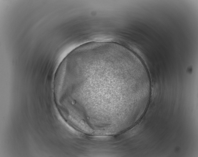 X0000112401487200908281738