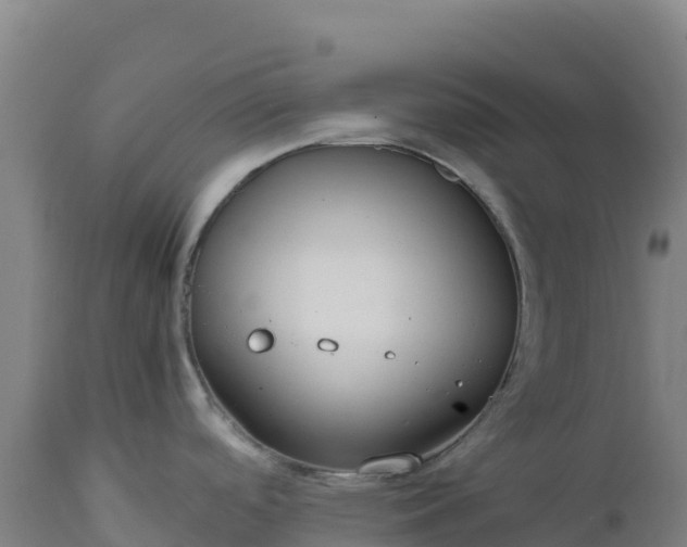 X0000112401488200908281738