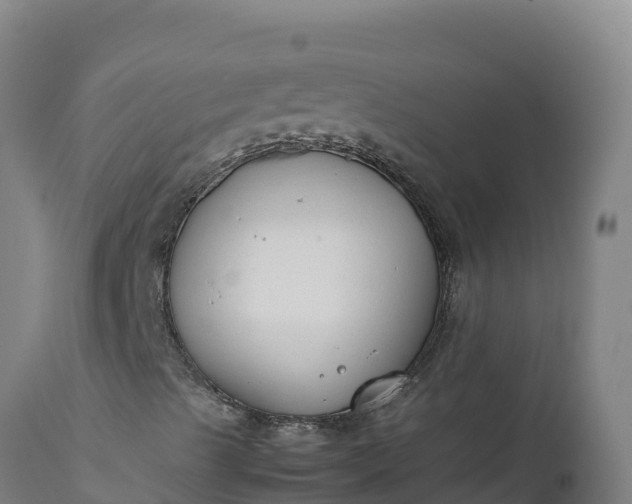 X0000112401489200908281737