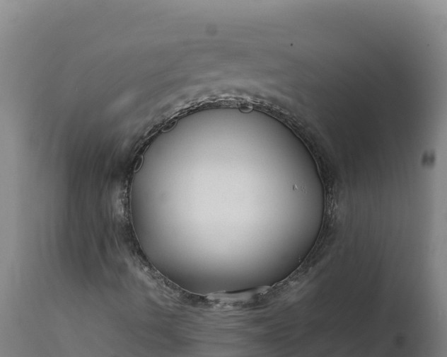 X0000112401490200908281737