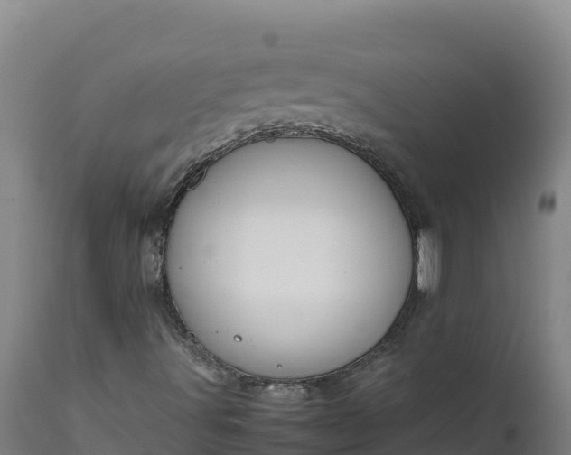 X0000112401491200908281737