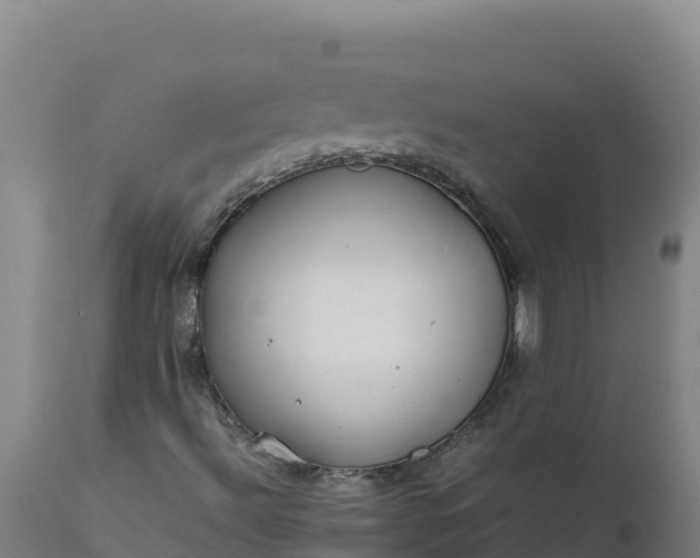 X0000112401492200908281737