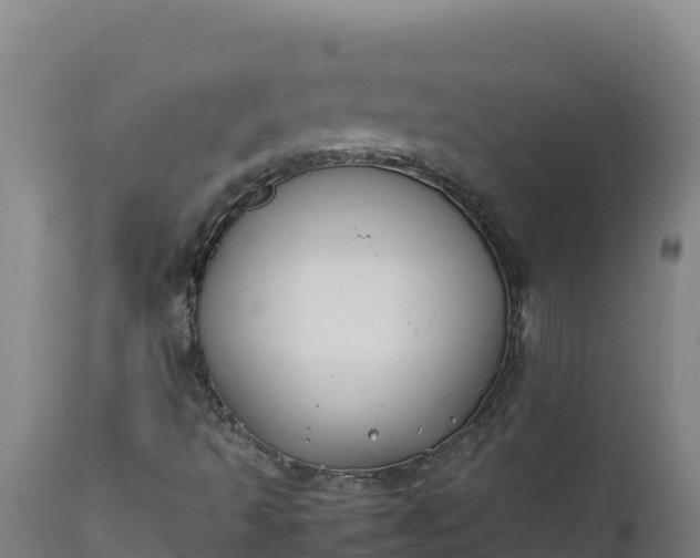 X0000112401493200908281737