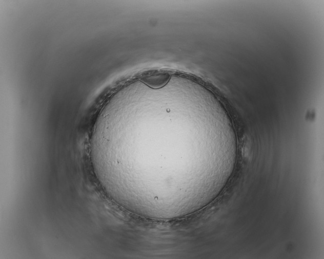 X0000112401495200908281737