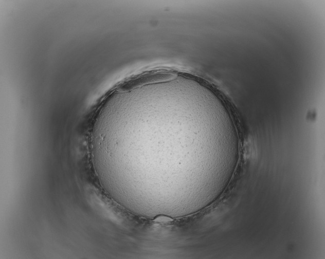 X0000112401496200908281737