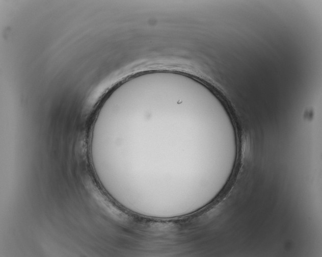X0000112401498200908281737