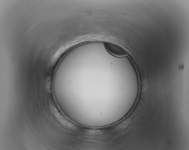 X0000112401499200908281737