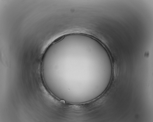 X0000112401500200908281737