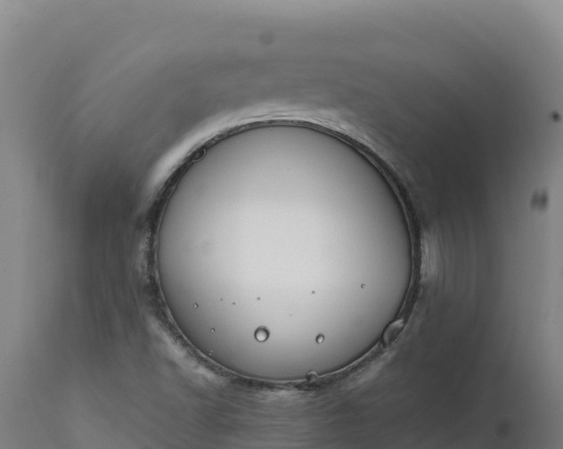 X0000112401502200908281737