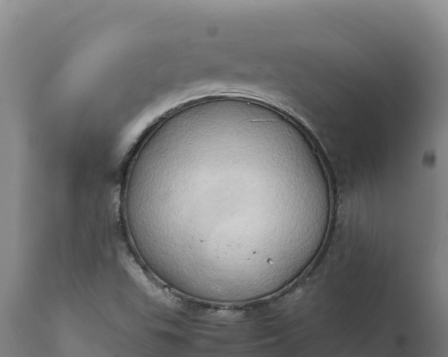 X0000112401503200908281737