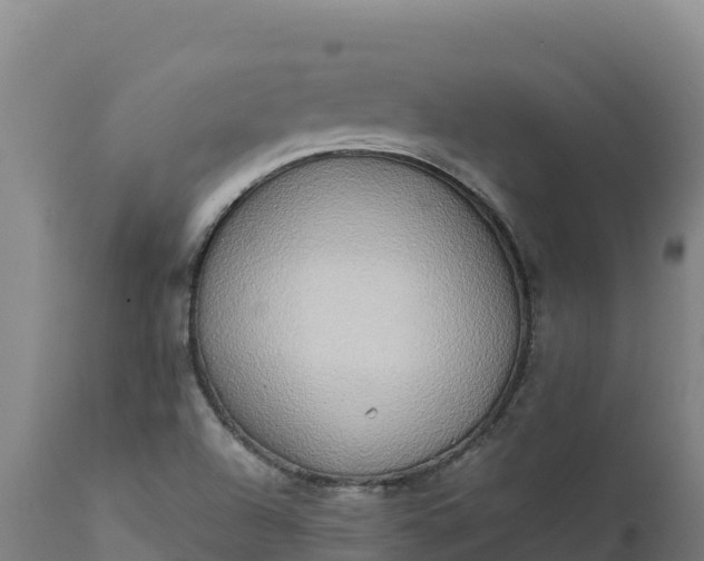 X0000112401504200908281737