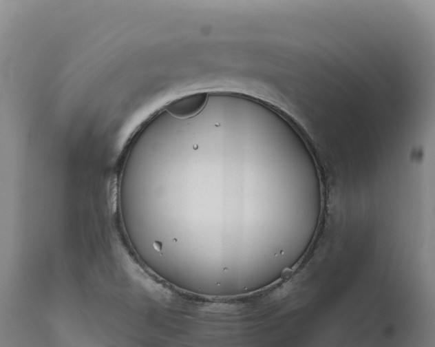 X0000112401510200908281737
