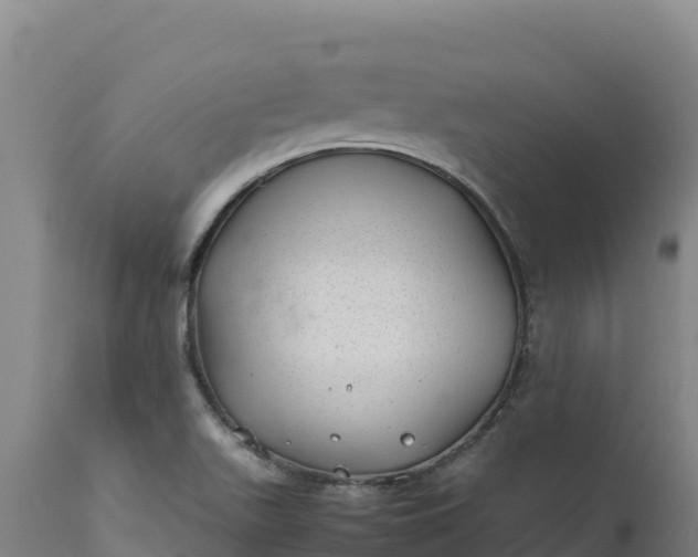 X0000112401511200908281737