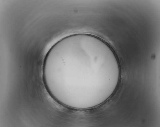 X0000112401512200908281737