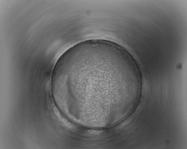X0000112401513200908281737