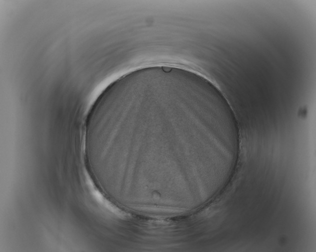 X0000112401515200908281737