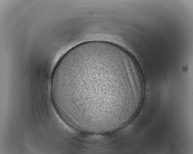 X0000112401517200908281737