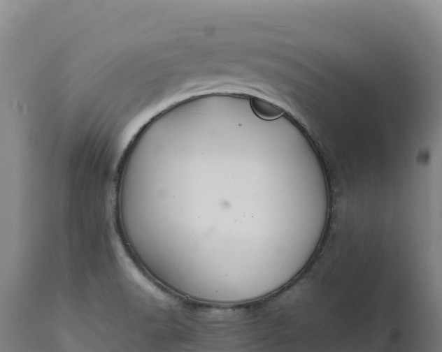 X0000112401518200908281737